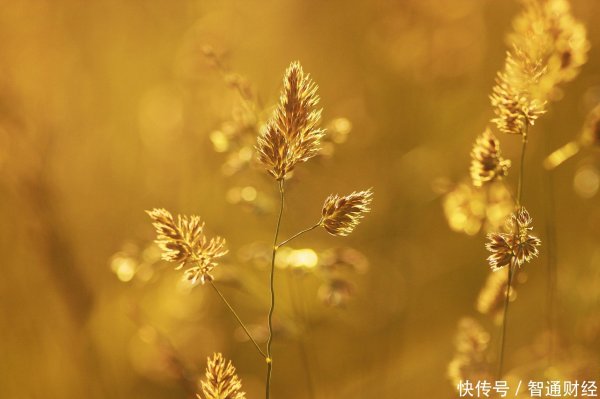 配资最安全的三个平台 国产创新药国际化加速，还有哪些企业值得关注？