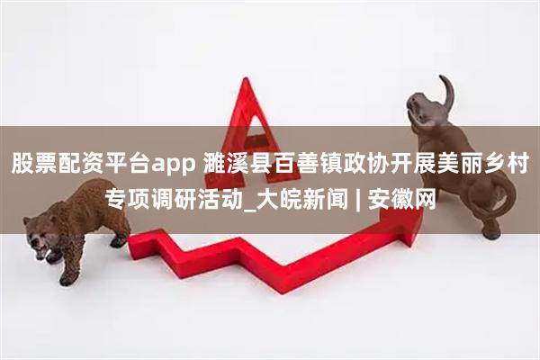 股票配资平台app 濉溪县百善镇政协开展美丽乡村专项调研活动_大皖新闻 | 安徽网